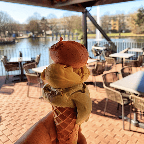News media