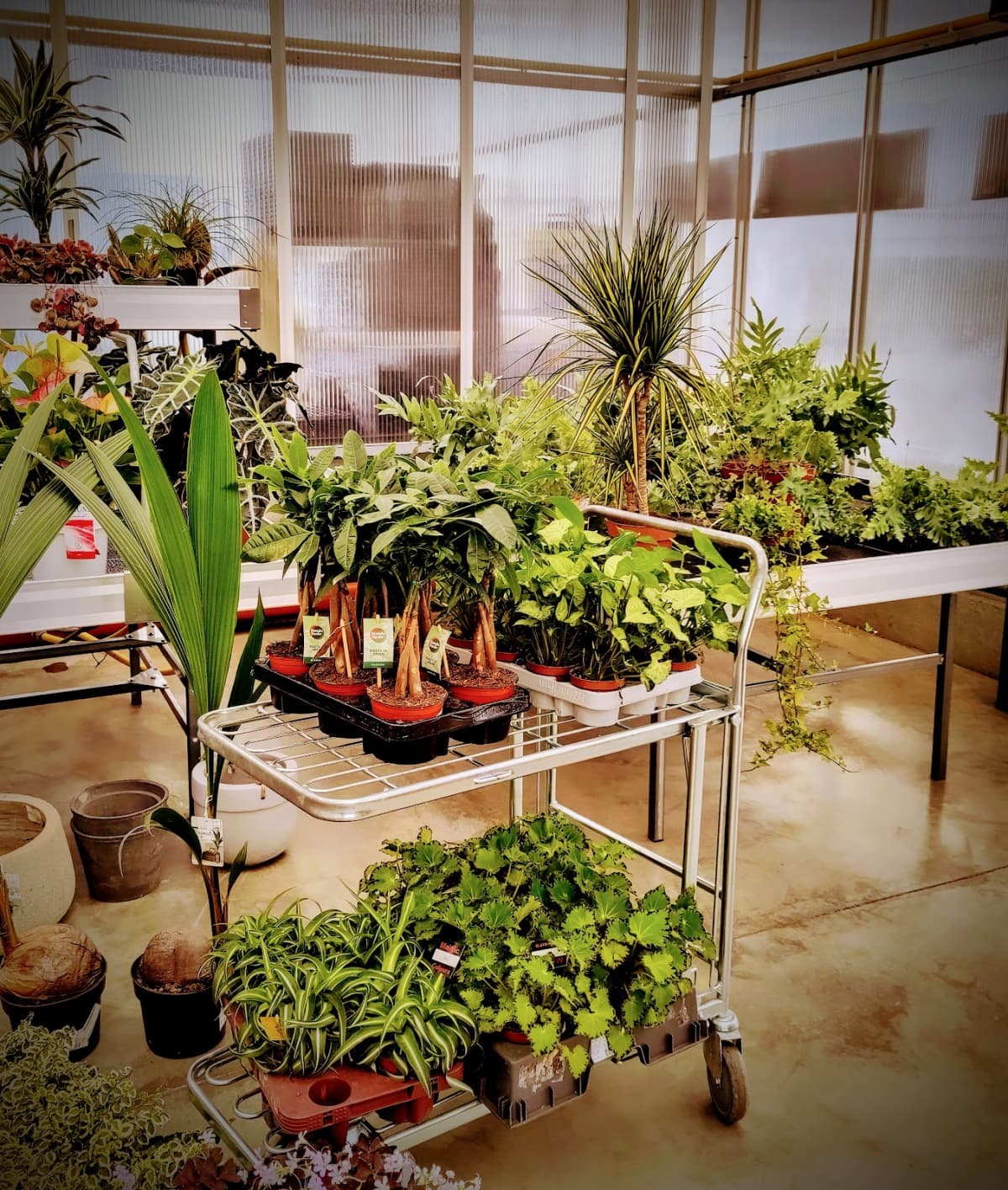 The real organic grocery - 6