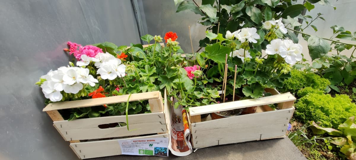 The real organic grocery - 5