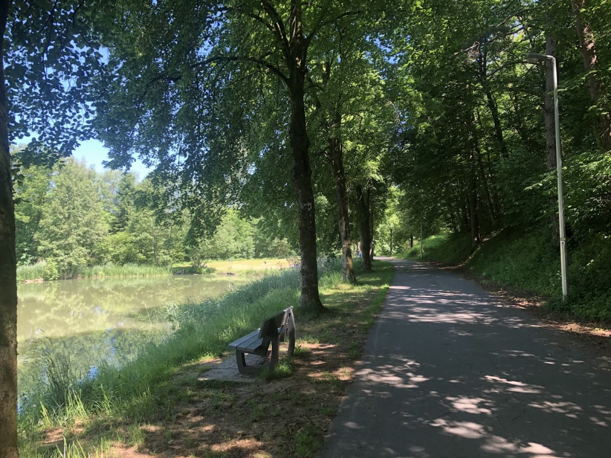 Le Lac de Conchibois pour se jetter à l’eau - 8