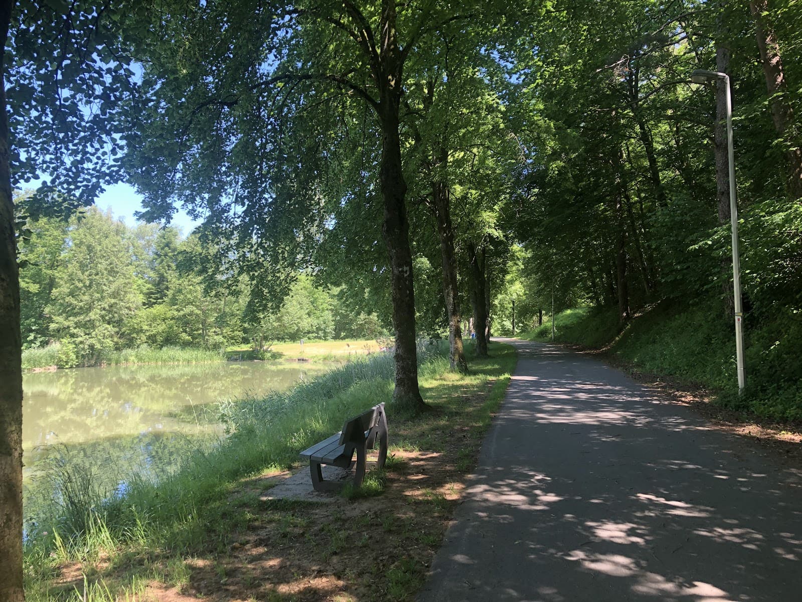 Le Lac de Conchibois pour se jetter à l’eau - 8