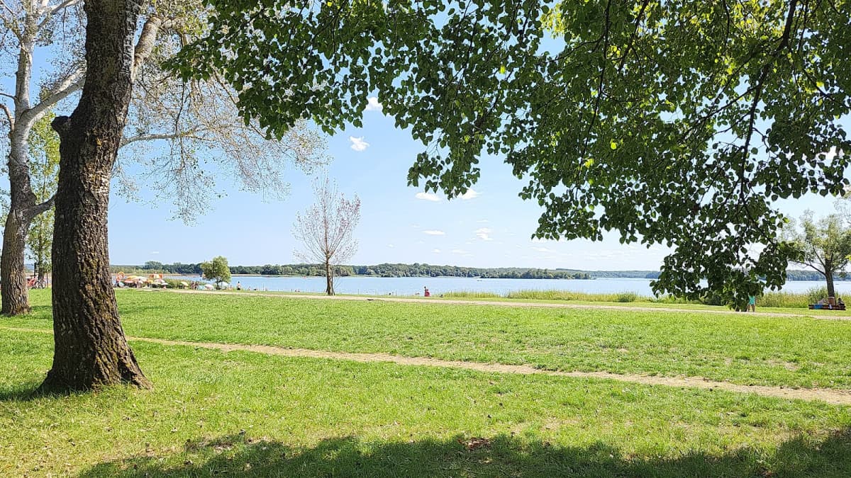 Swimming, fishing, paddle and cycling at Lake Madine - 8