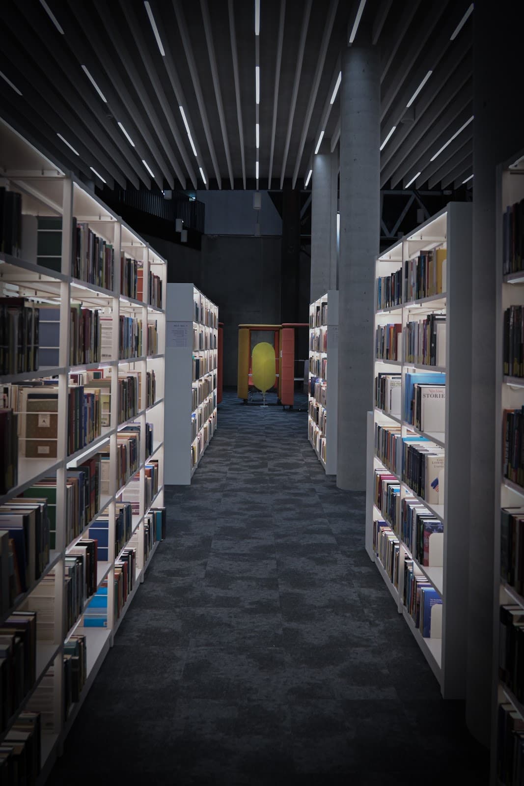 Une bibliothèque pas comme les autres - 7