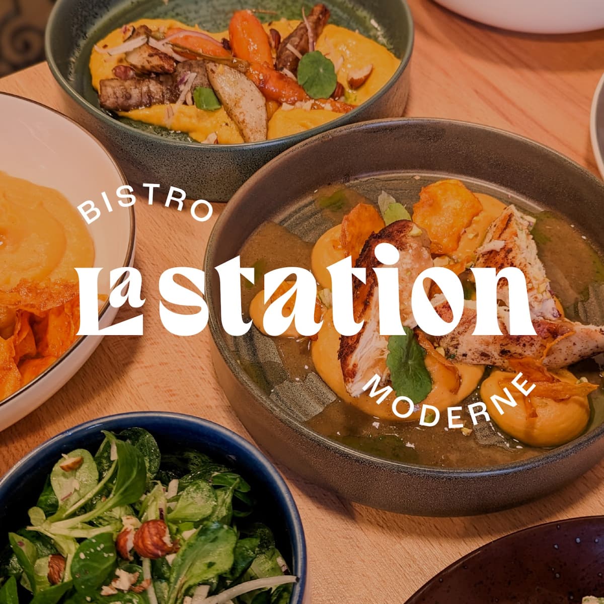 TAPAS degu-STATION - 3