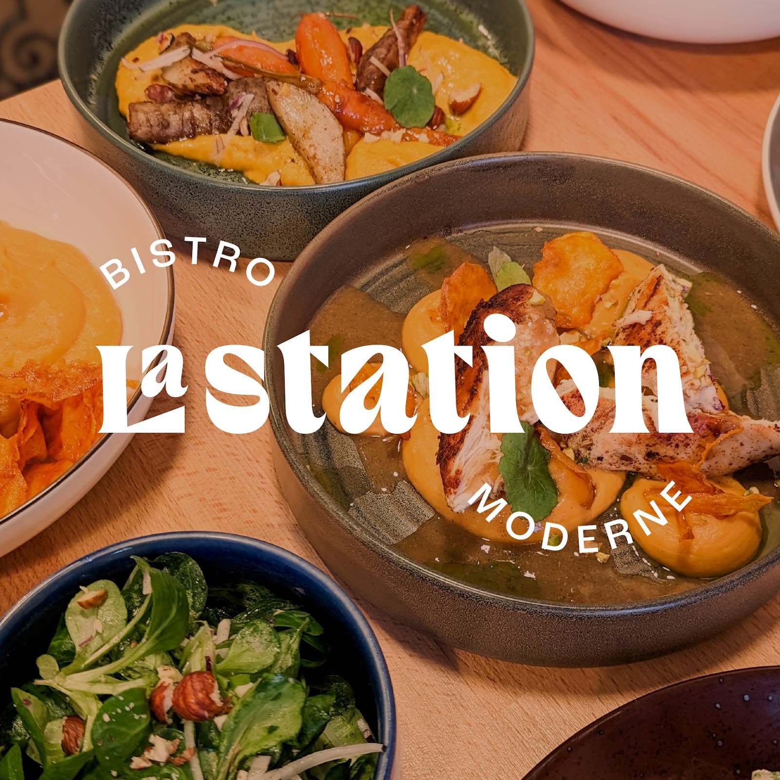 TAPAS degu-STATION - 3