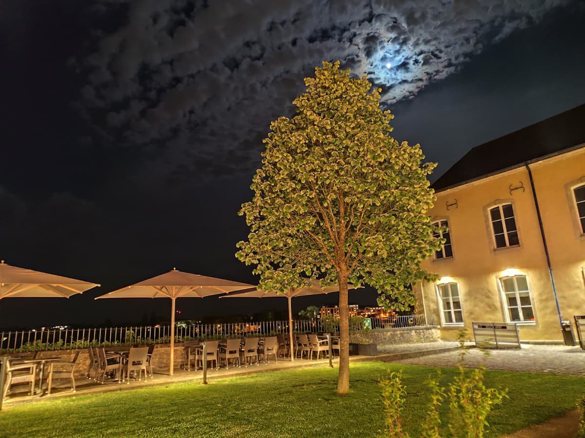 L'Hêtre Beim Musée, la brasserie la plus gourmande de Luxembourg-Ville - 15