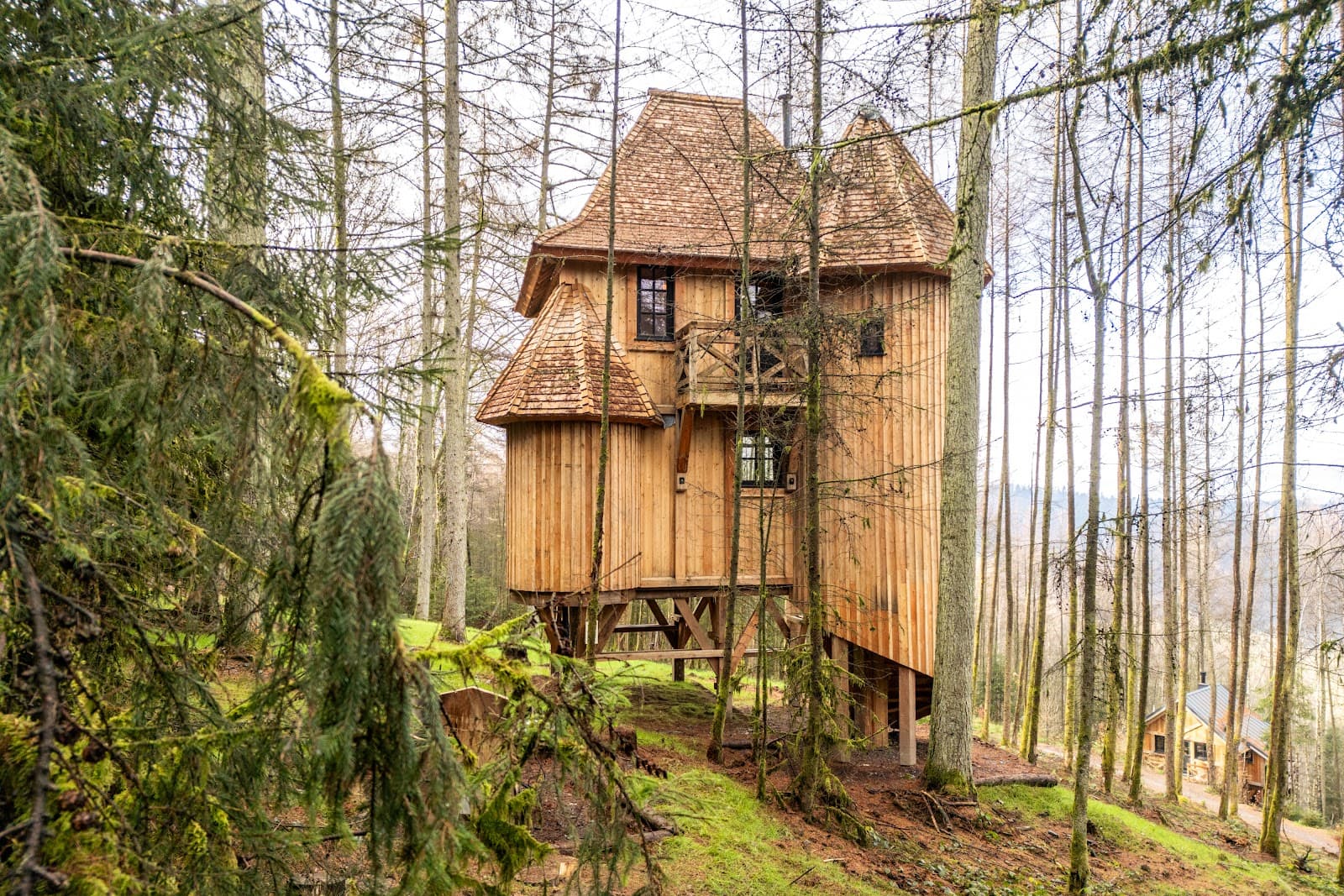 Sleeping in a super cozy cabin - 9
