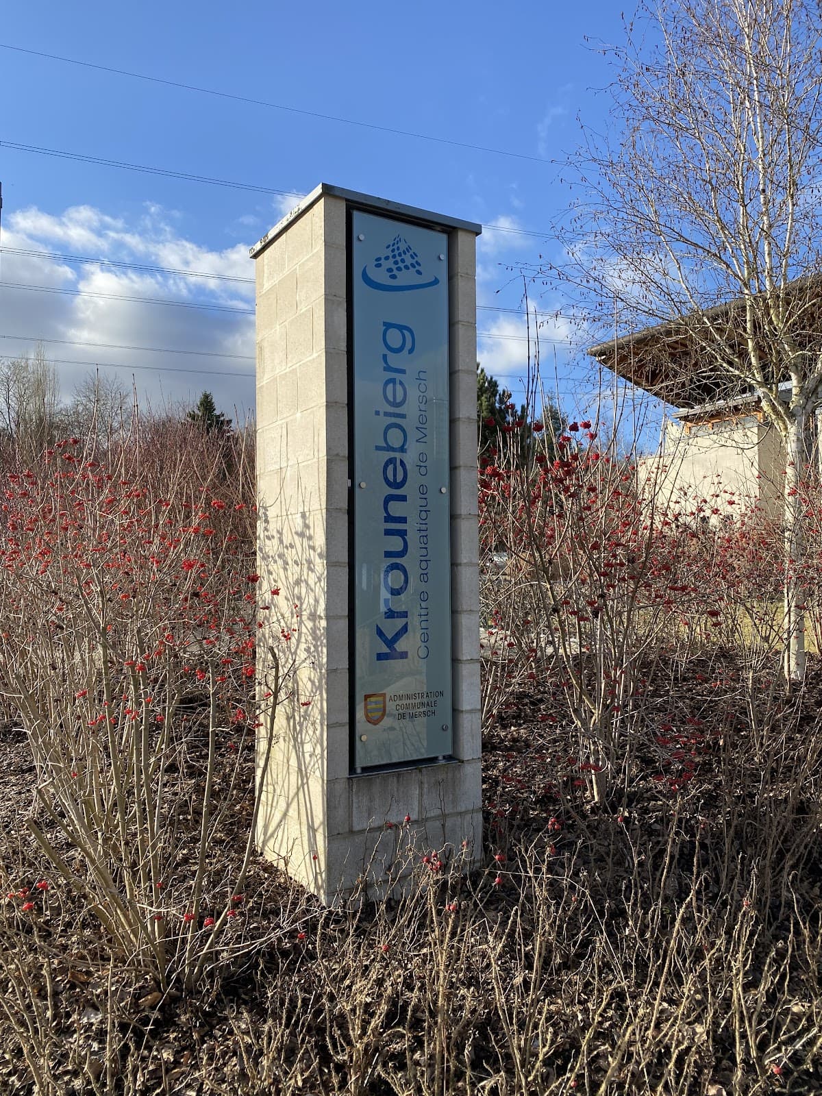 Relax Max: Spa and Saunas at Krounebierg in Mersch - 7