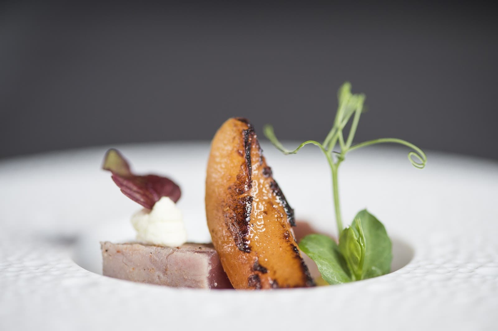 L’Arnsbourg, le restaurant gastronomique en pleine forêt - 3