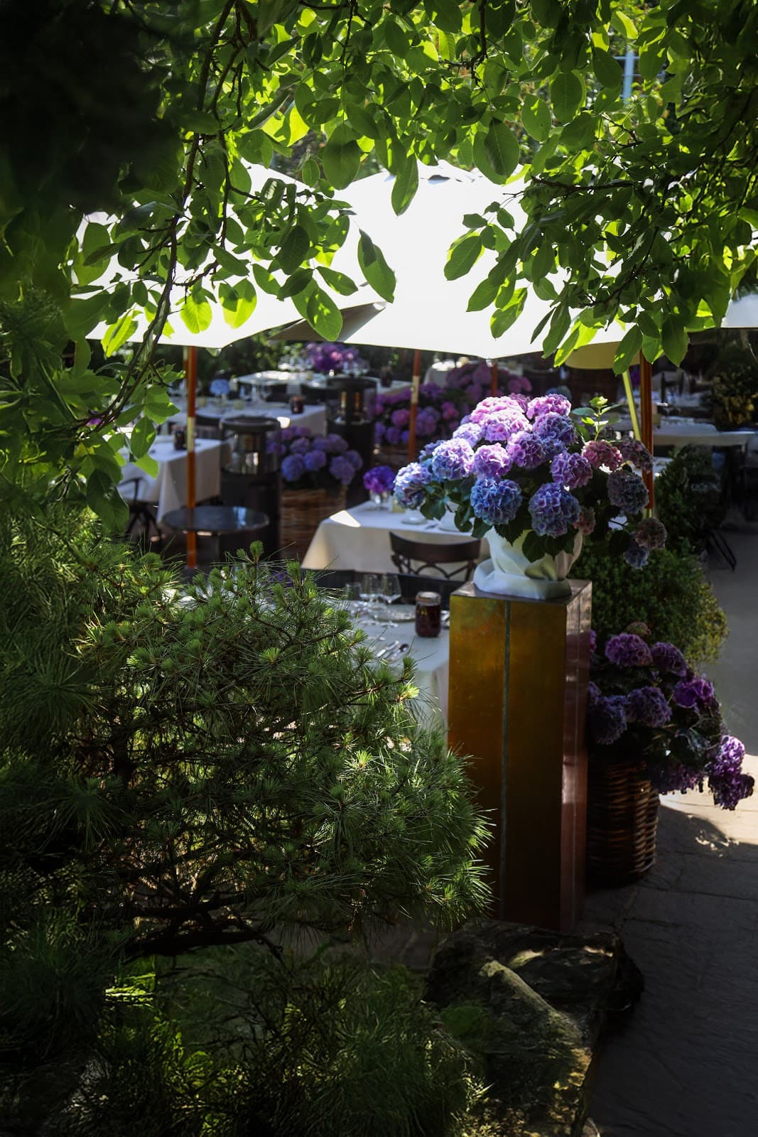 A gourmet break in the heart of nature - 4