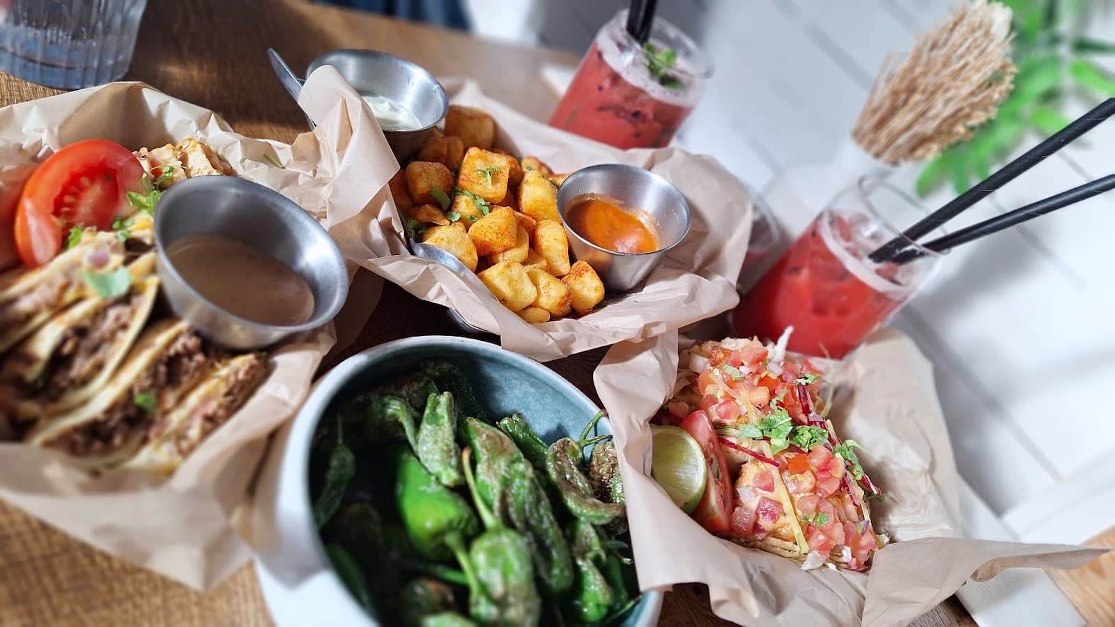 Tapas, Tacos, Tropico - 5