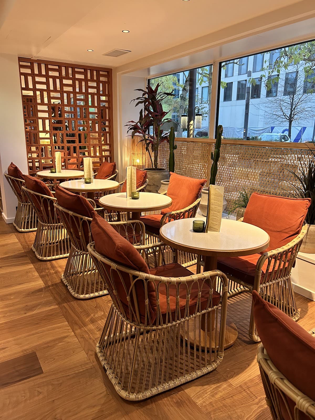 Junco: the Mediterranean restaurant in Kirchberg - 17