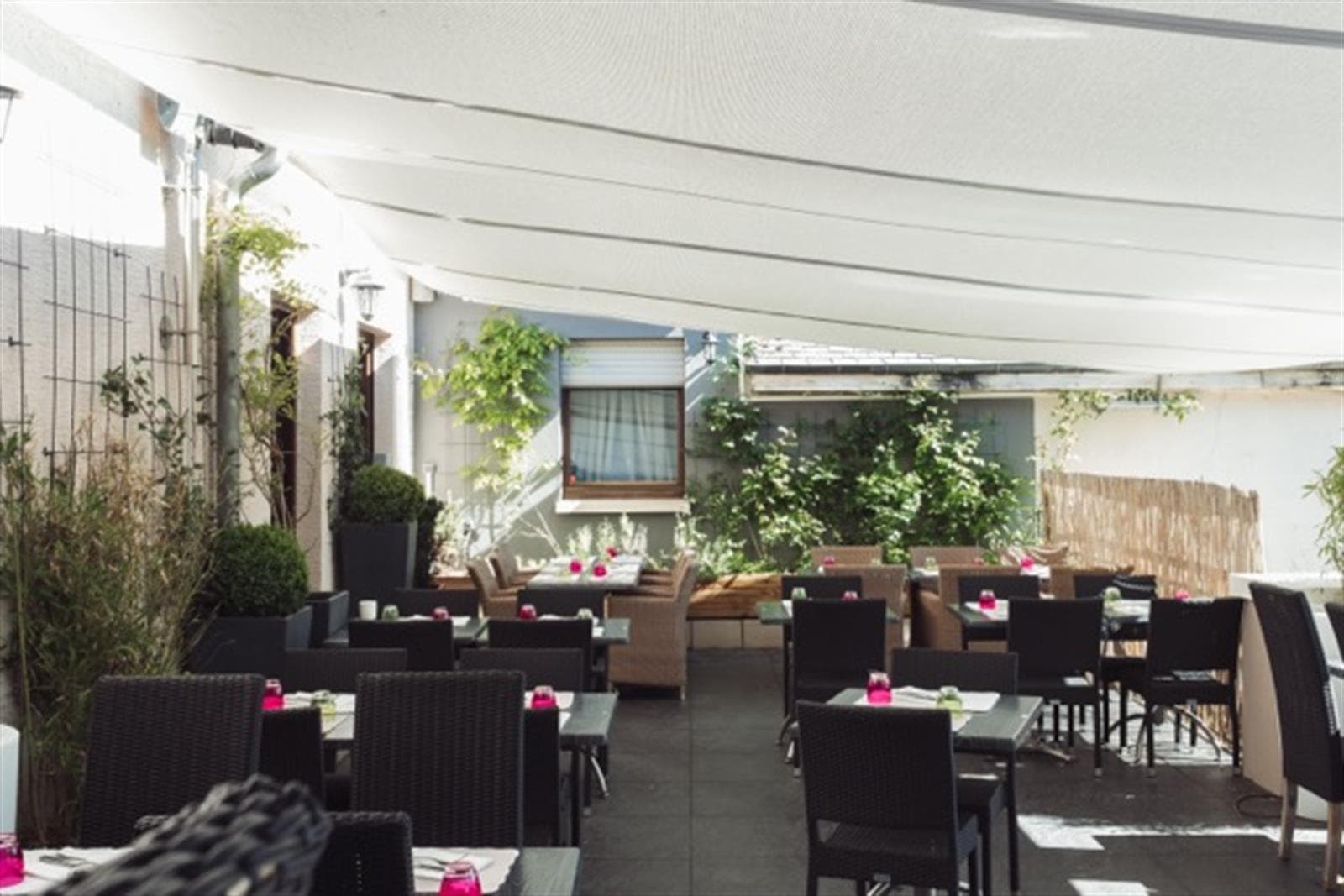 Lunch or dinner in the heart of nature - 8