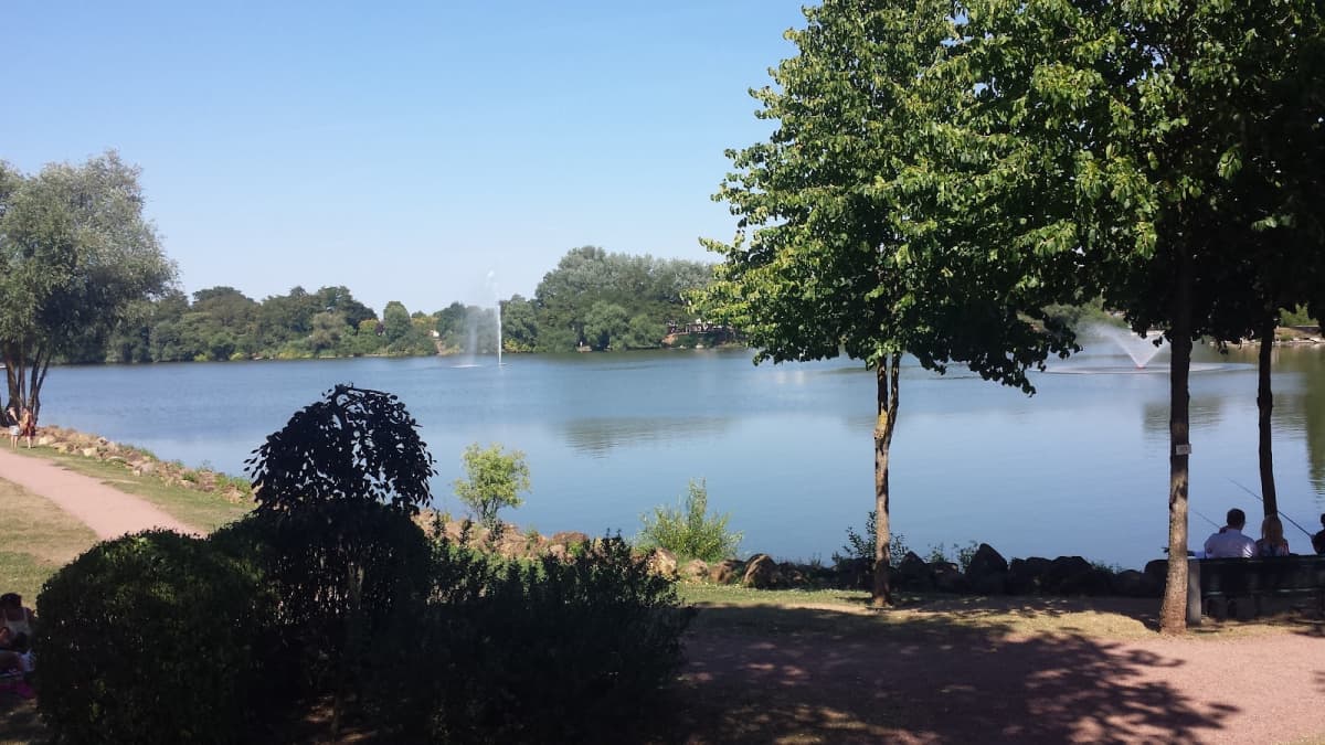 Une petite baignade ? - 3