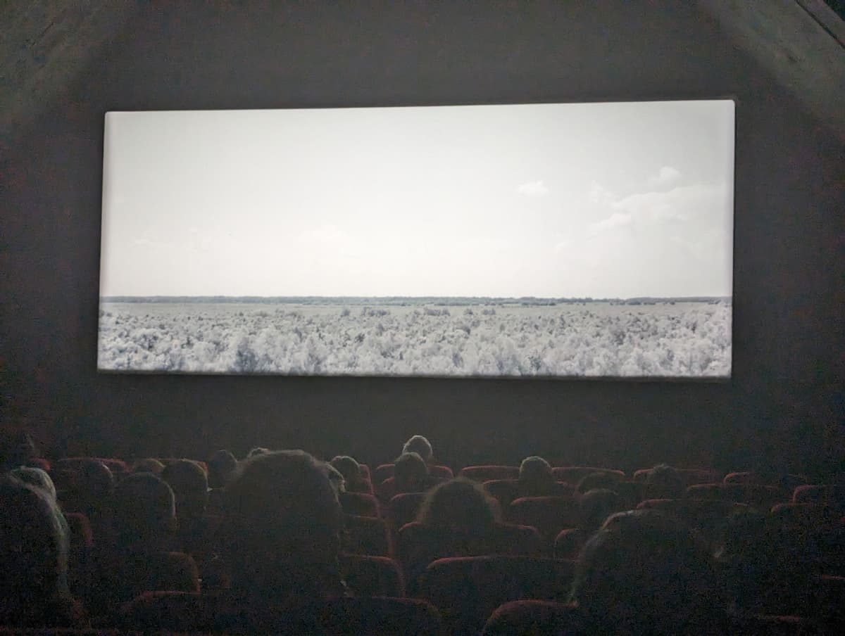 Big Film For Kids - 11