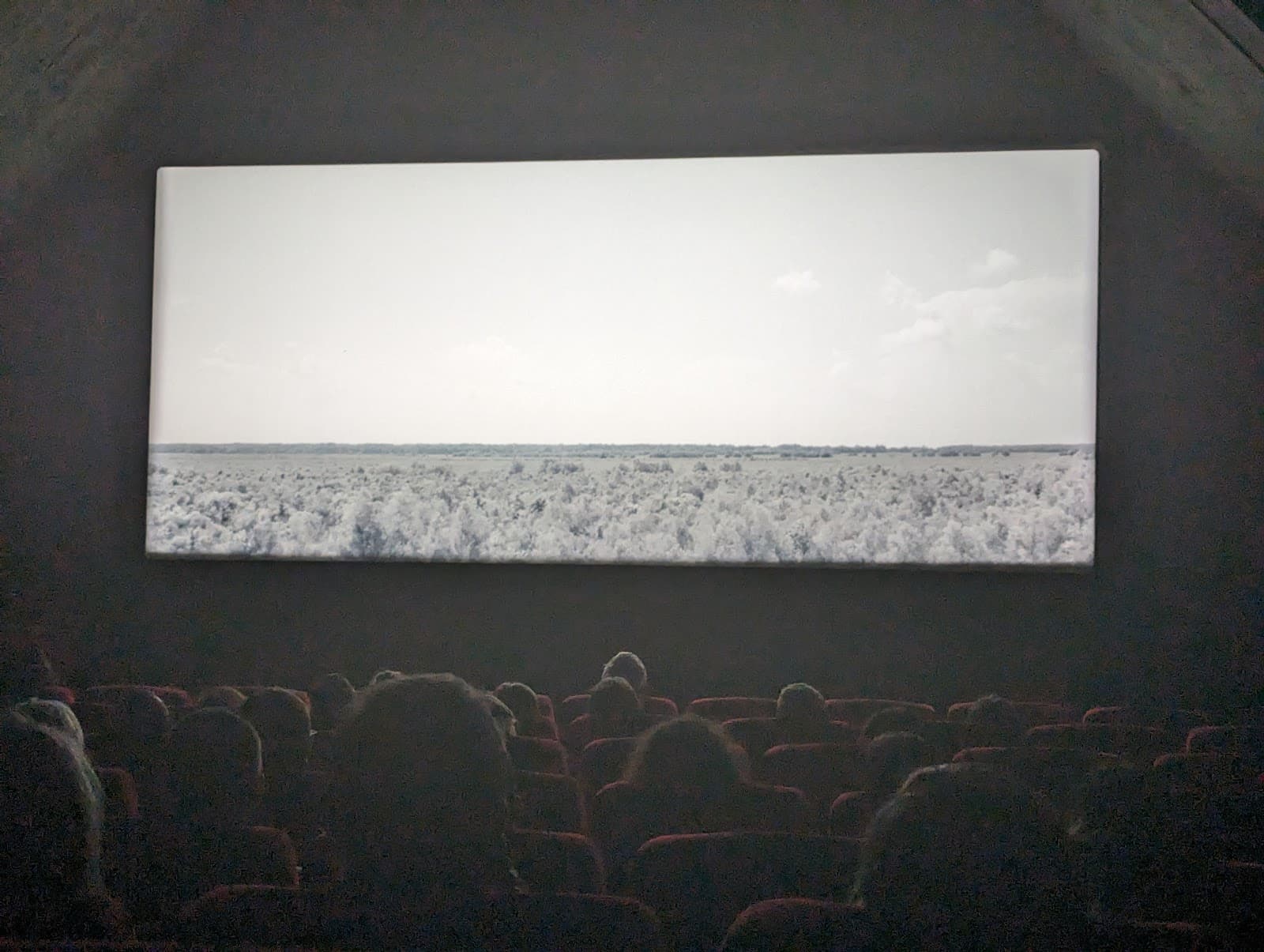 Big Film For Kids - 11