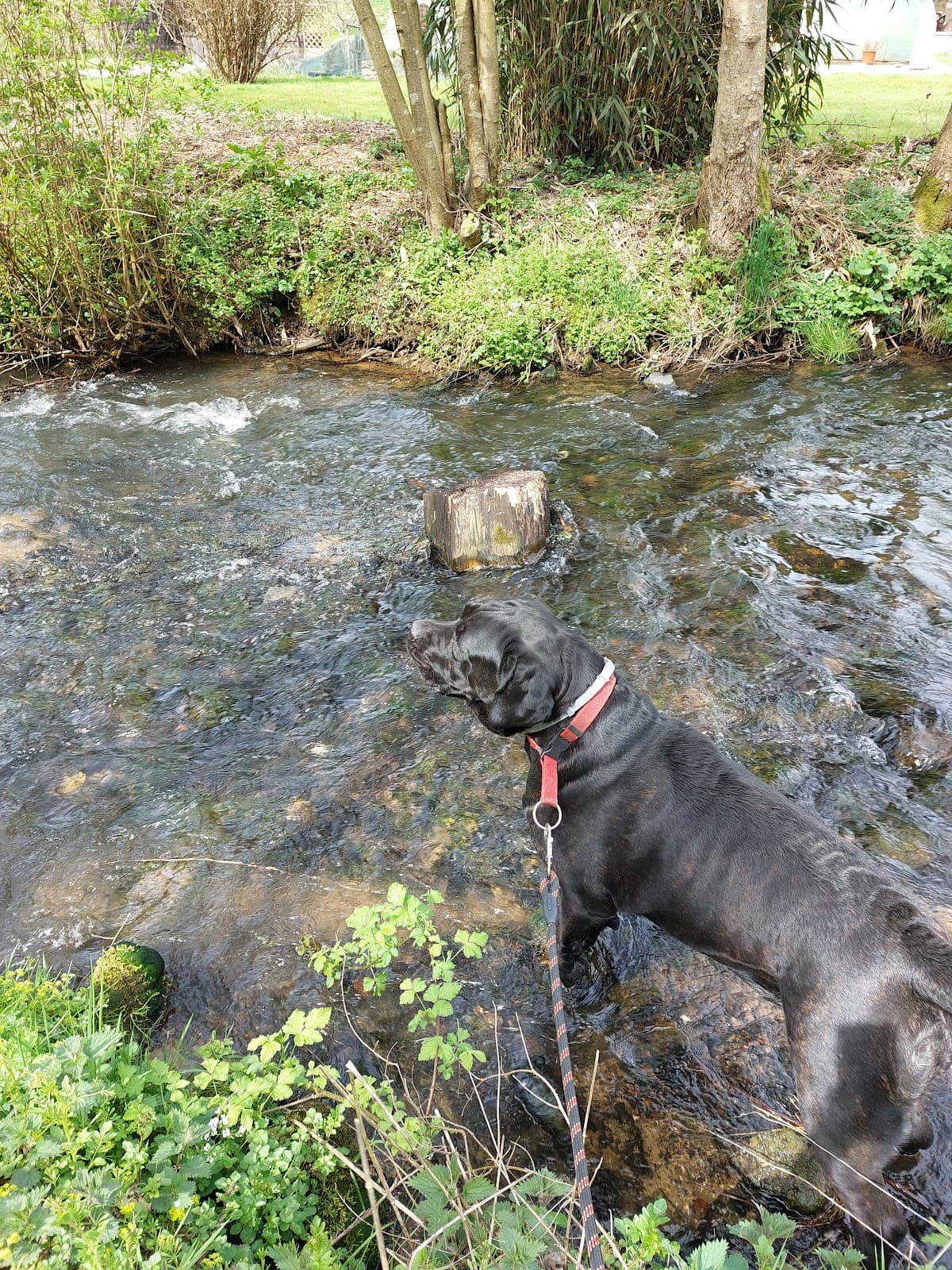 Le Lac de Conchibois pour se jetter à l’eau - 11