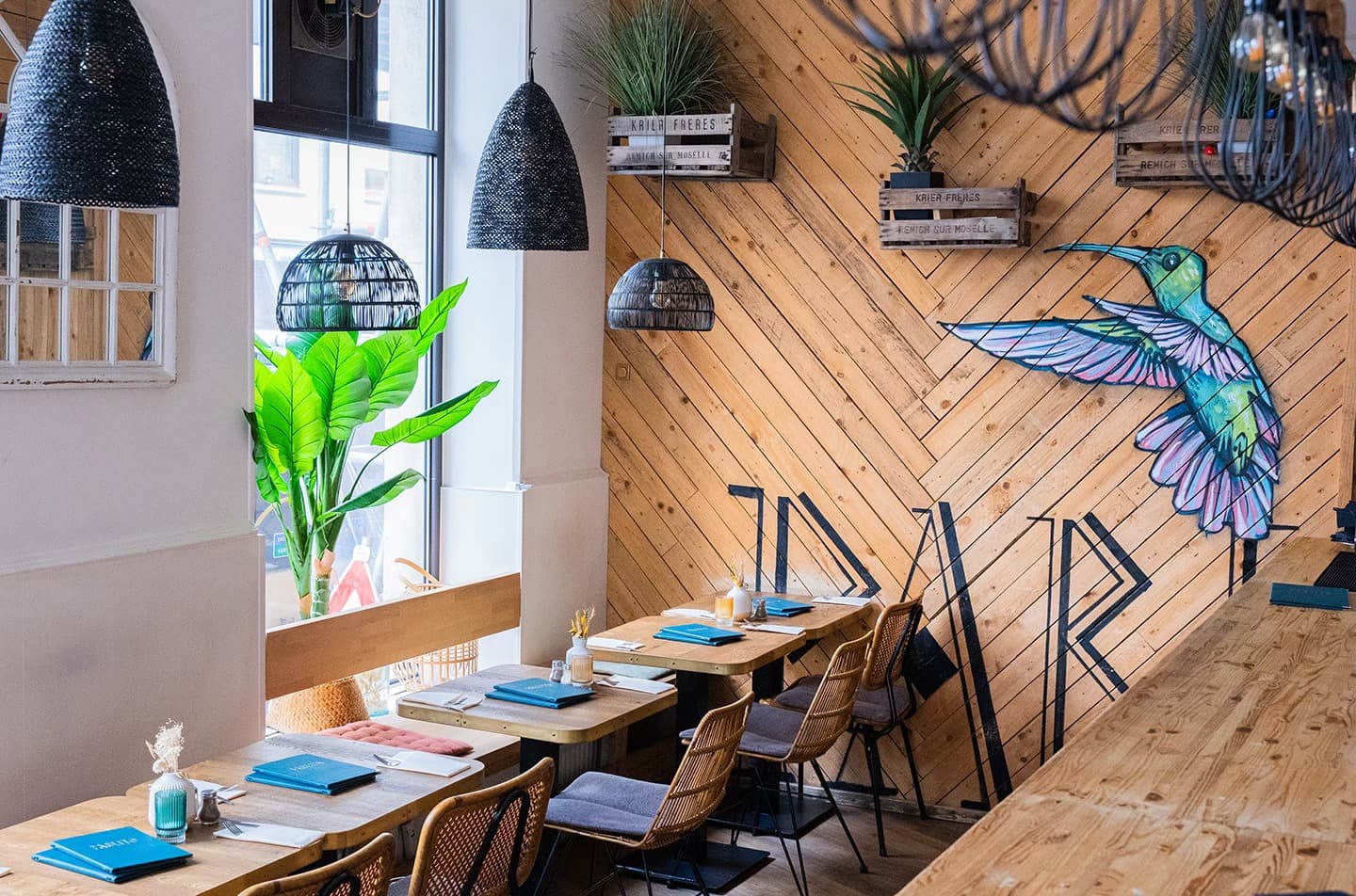 Tapas, Tacos, Tropico - 2