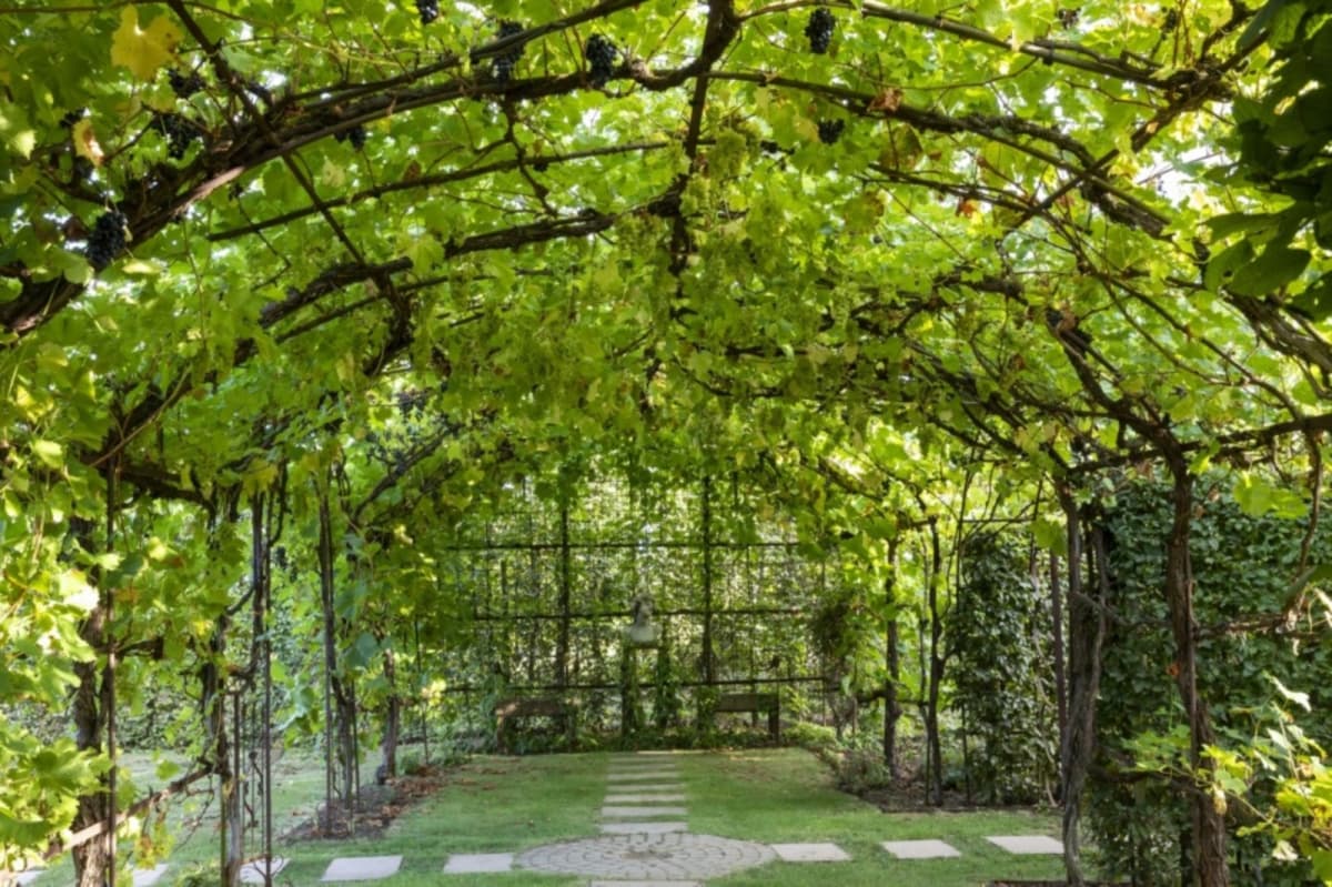 When wine meets architecture - 5