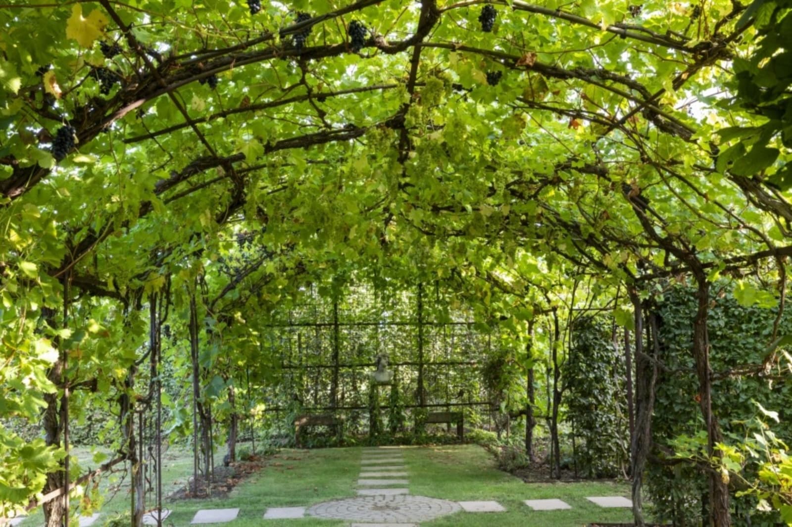 When wine meets architecture - 5
