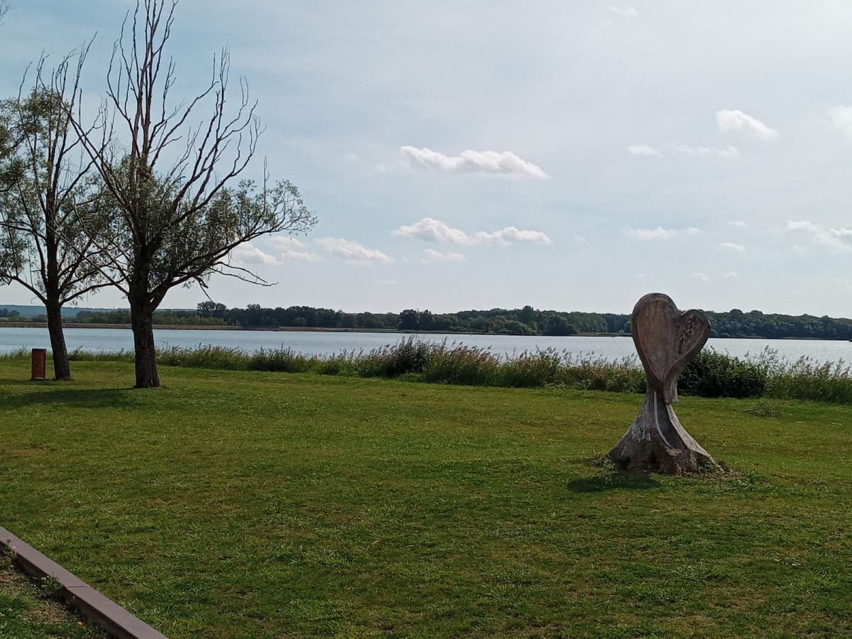Swimming, fishing, paddle and cycling at Lake Madine - 11