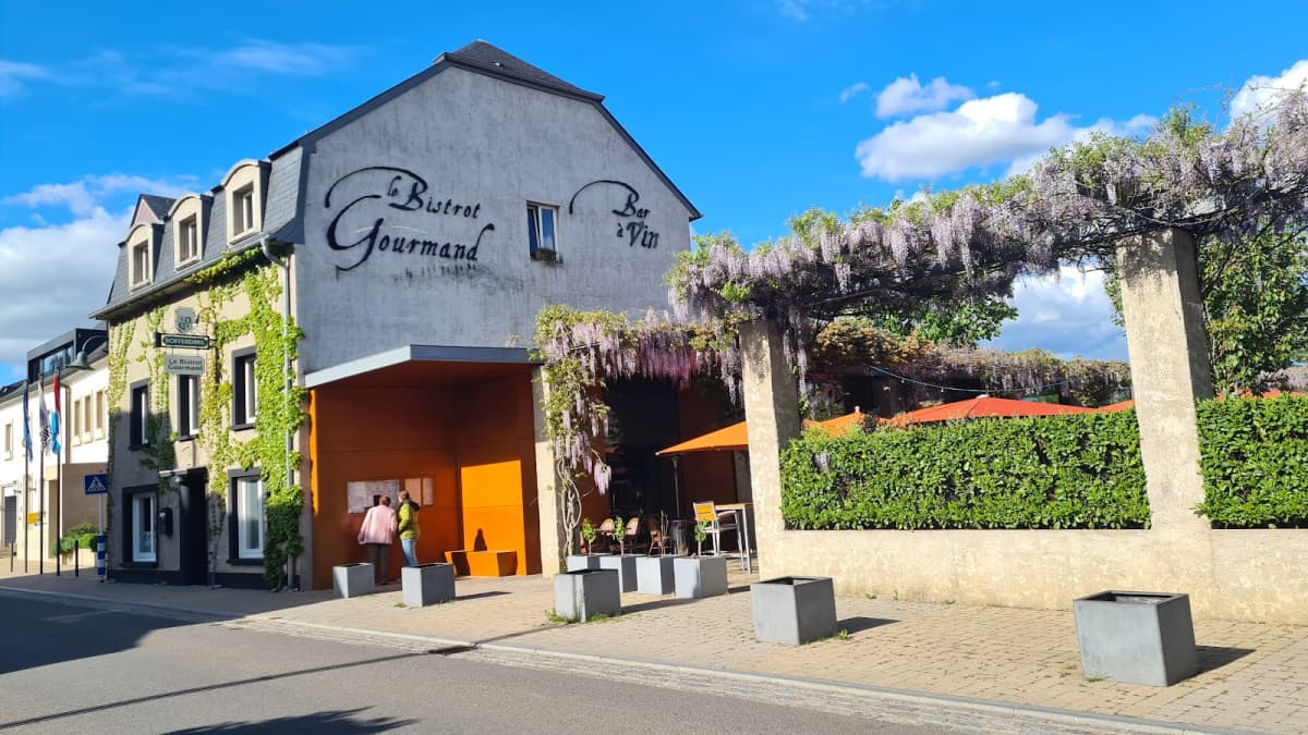 Gourmet wines - 2