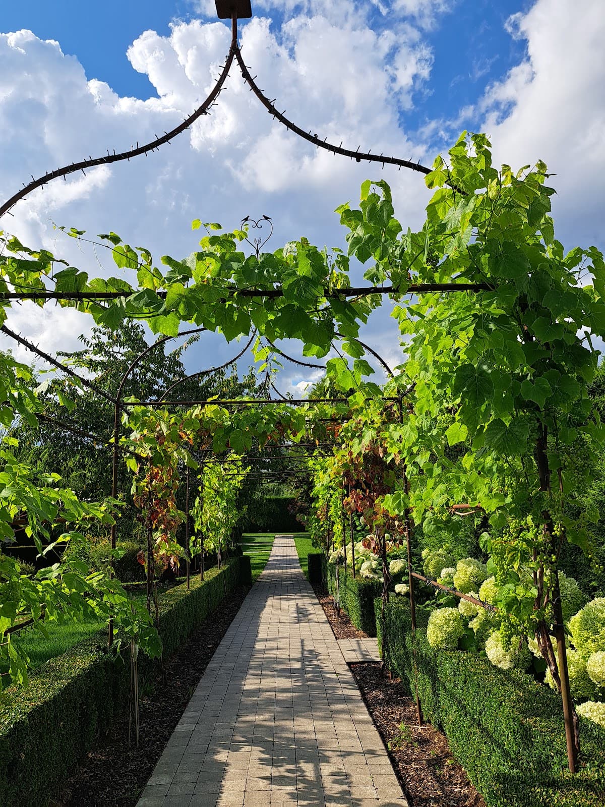 When wine meets architecture - 8