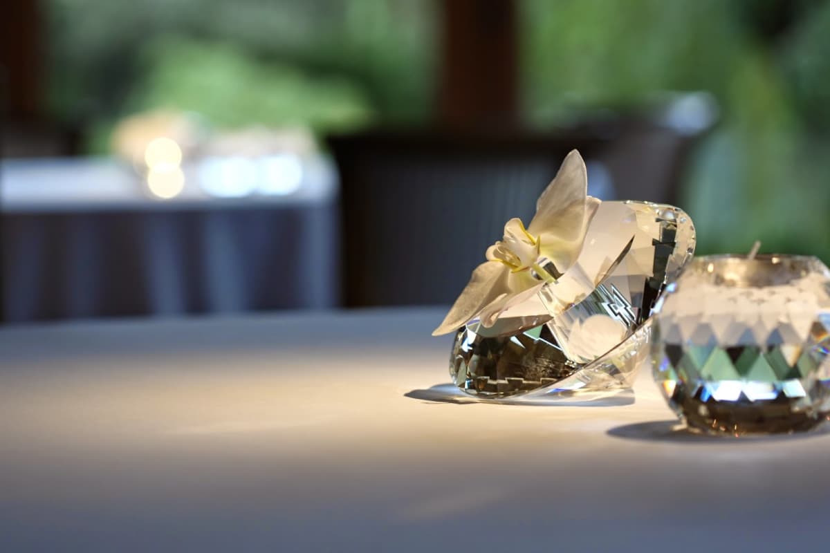 L’Arnsbourg, le restaurant gastronomique en pleine forêt - 5