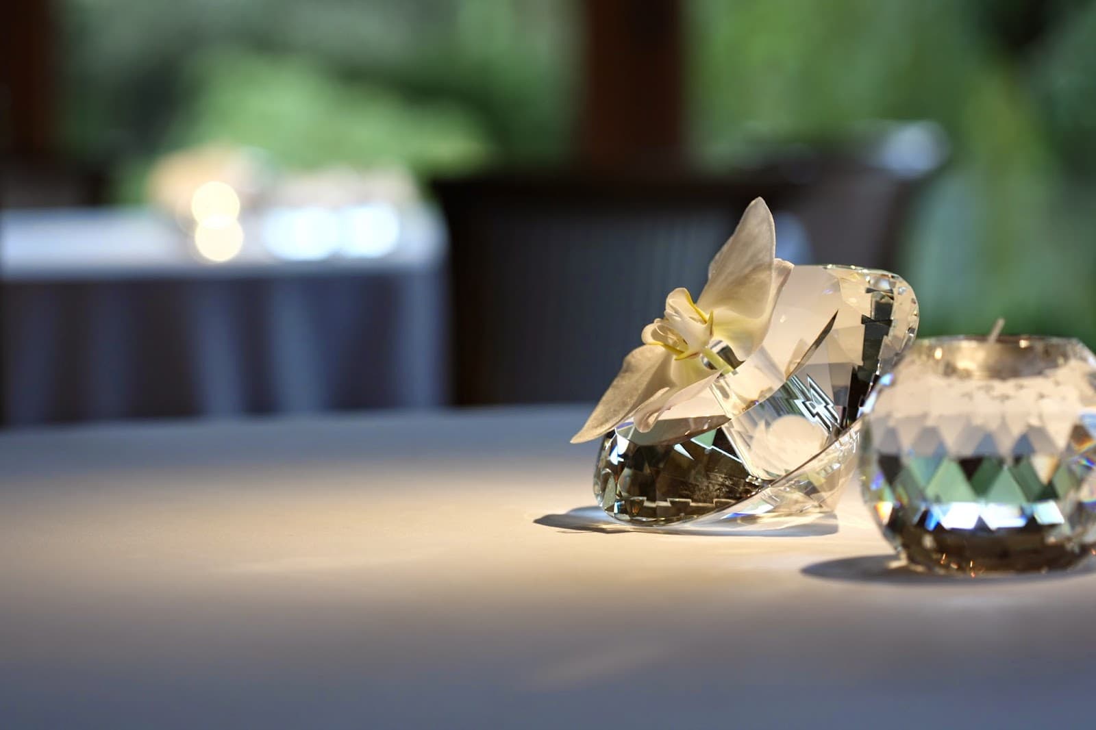 L’Arnsbourg, le restaurant gastronomique en pleine forêt - 5