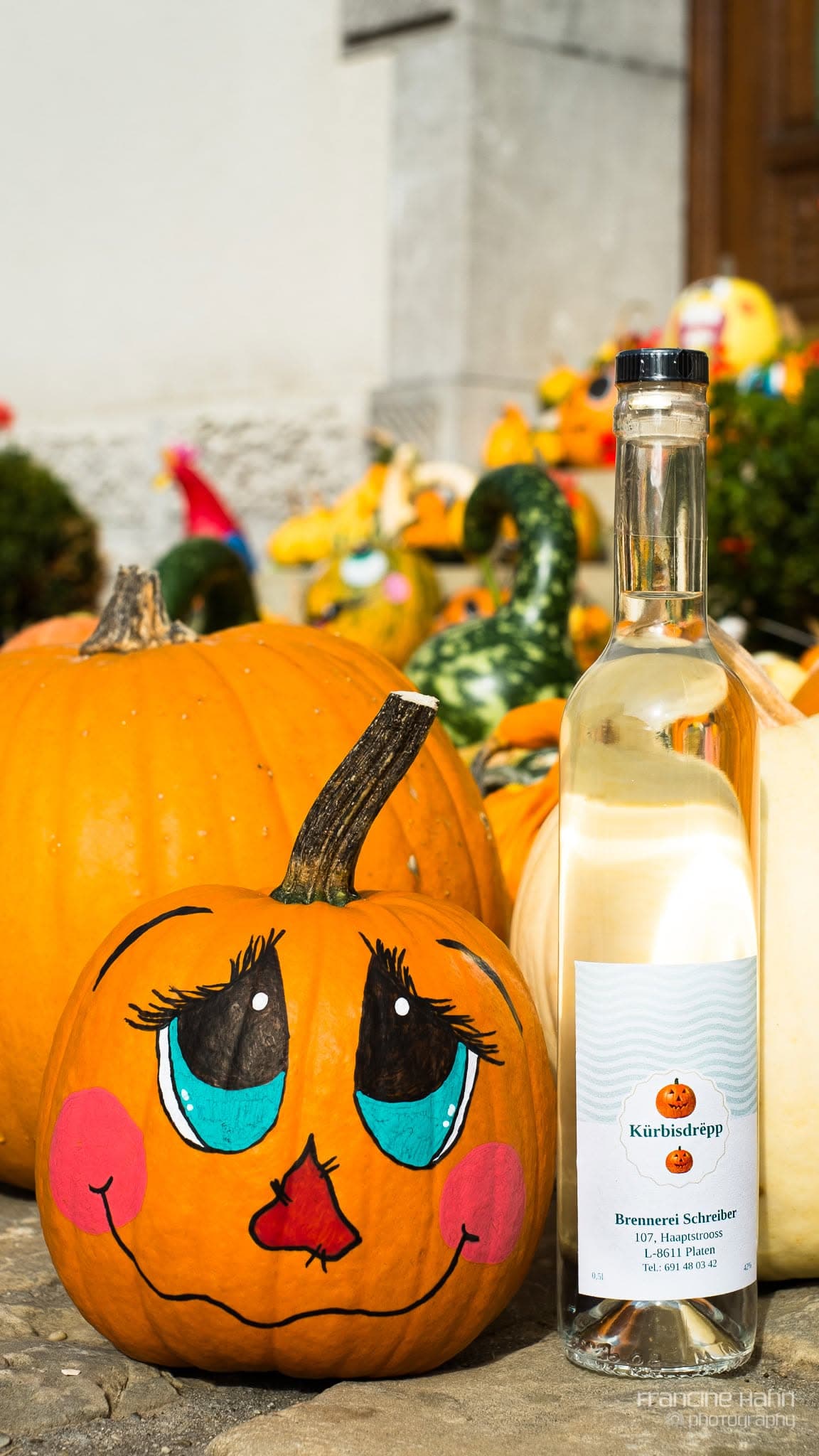 Halloween approche : déniche ta citrouille ! - 3
