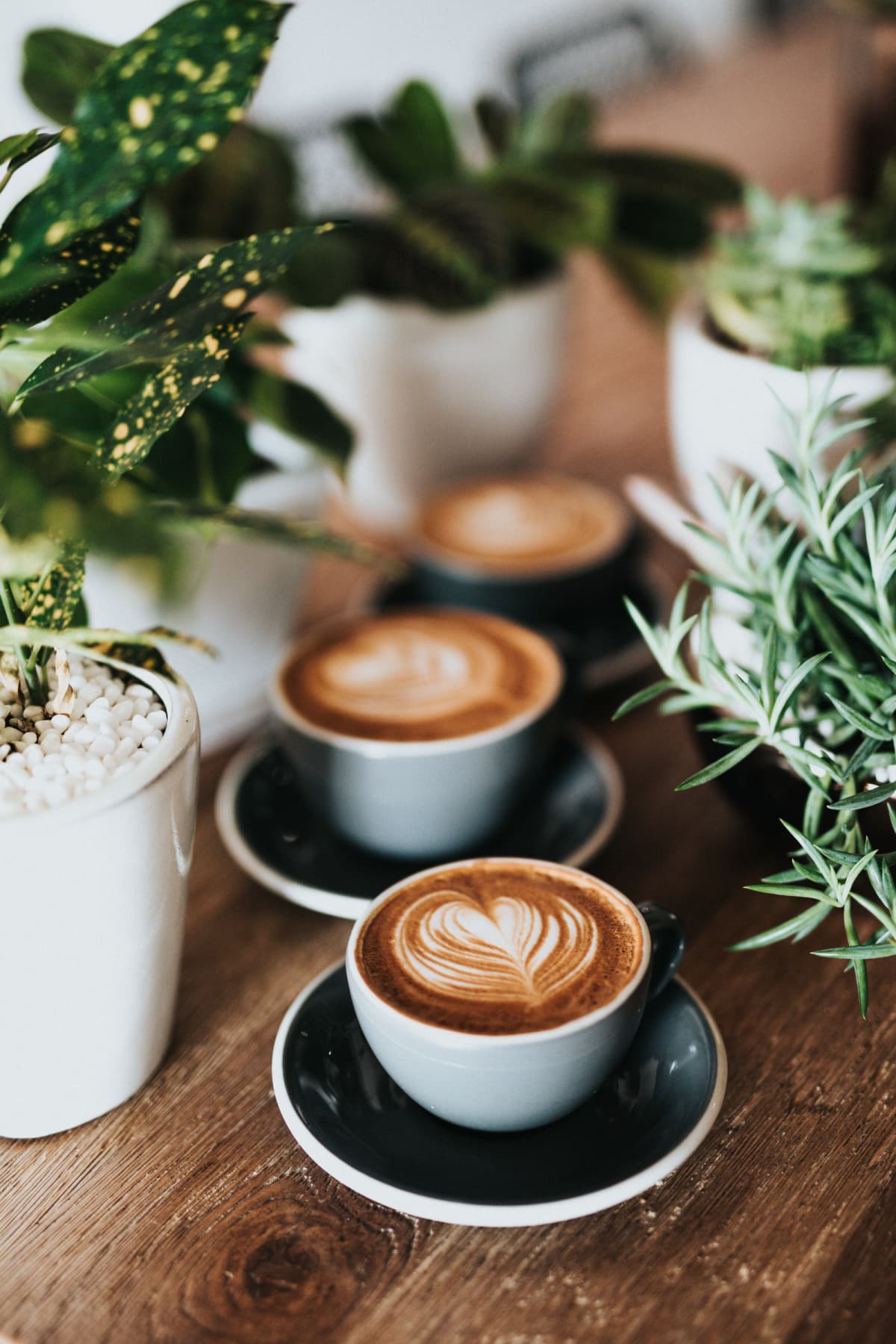 Coffee gathering of the “Oeuvres paroissiales Bous”