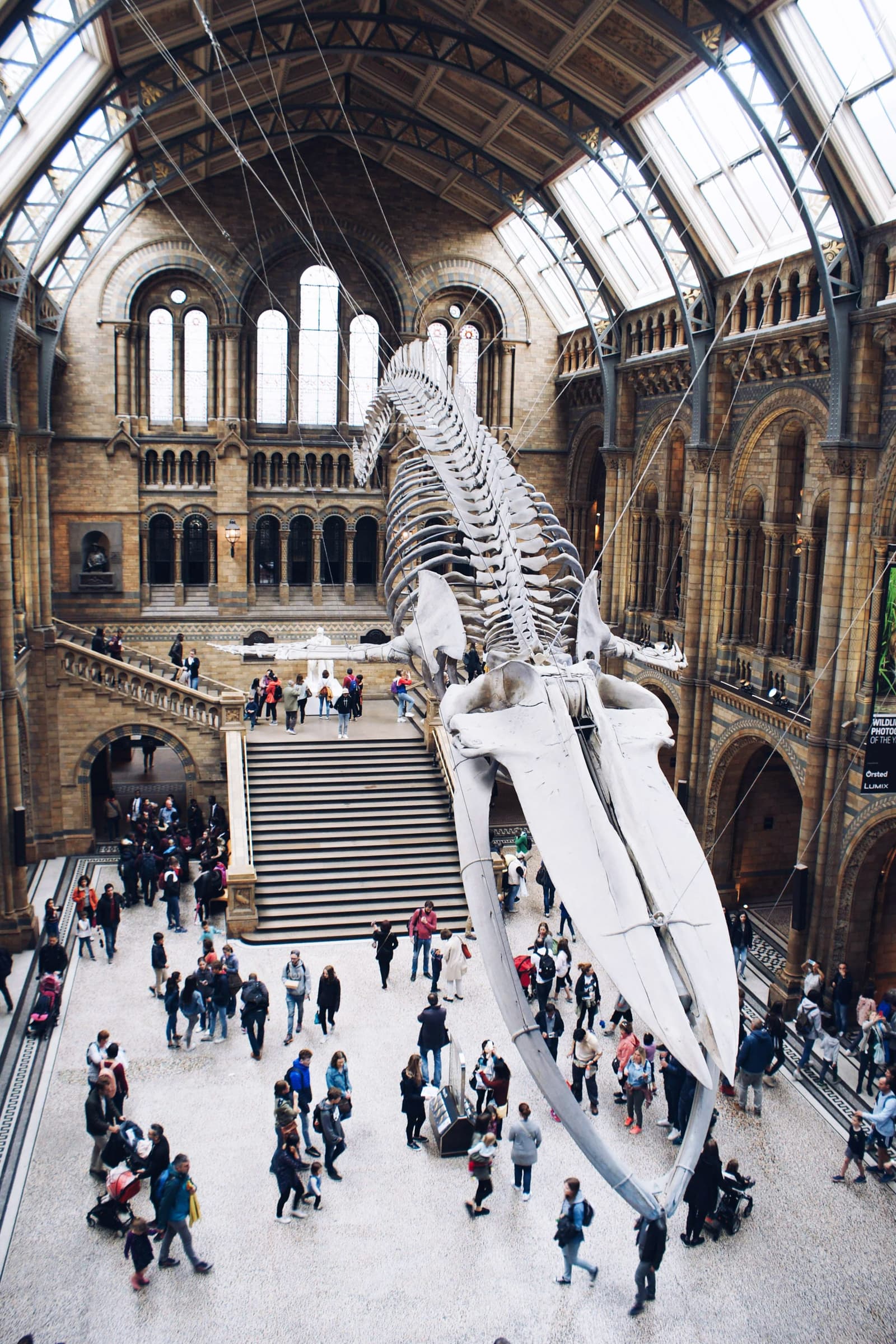 Le Musée Ephémère des Dinosaures