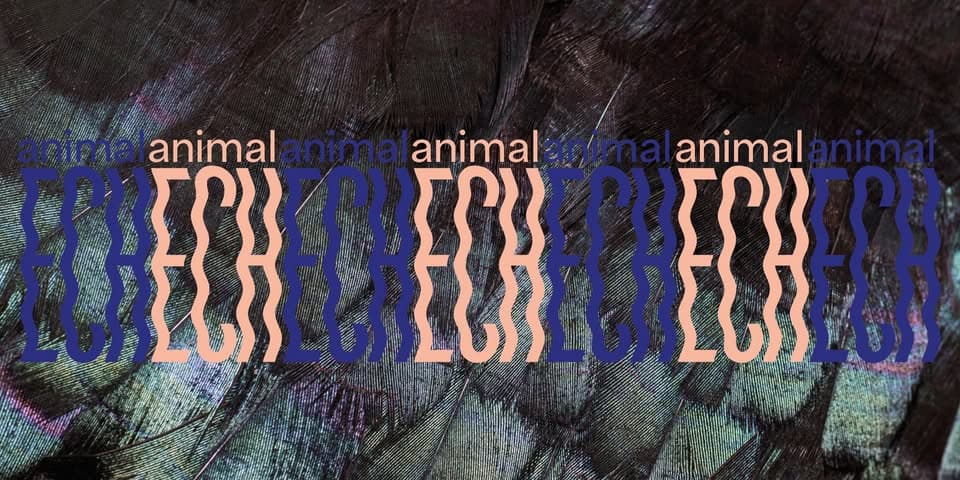 animalECH guided tours [LU | FR | DE | ENGL]