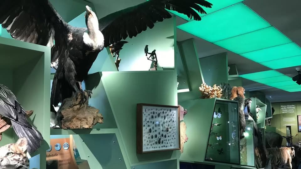 Guided tour of the permanent exhibition [LU | FR | ENGL | DE]