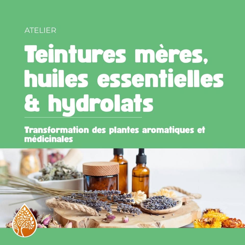 Teintures mères, huiles essentielles et hydrolats