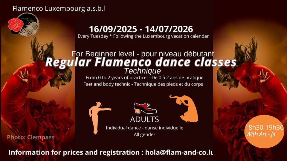 Flamenco pour adultes : débutant - technique (tous les mardis)