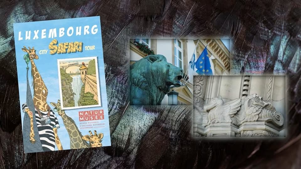 Luxembourg City Safari Tour - Experience Wild Animals in Luxembourg