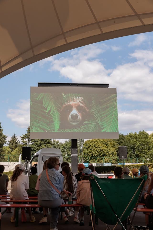 Summer cinema