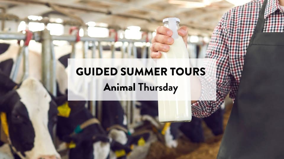 A farm adventure for the whole family in Everlange