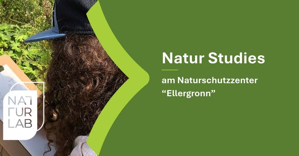 Nature Studies