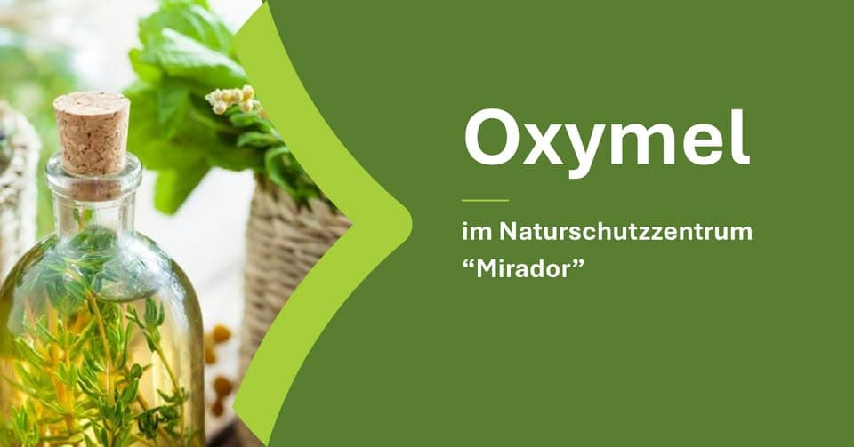 Oxymel