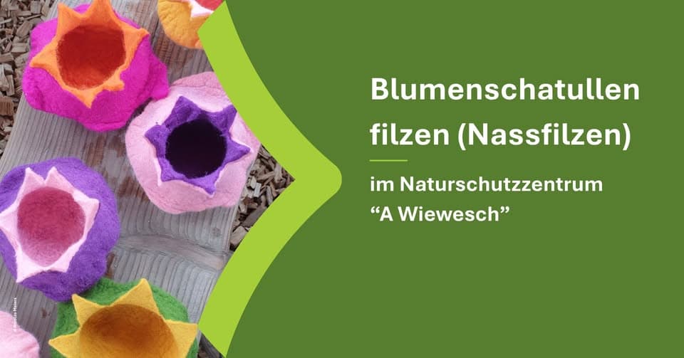 Felting flower boxes (wet felting)