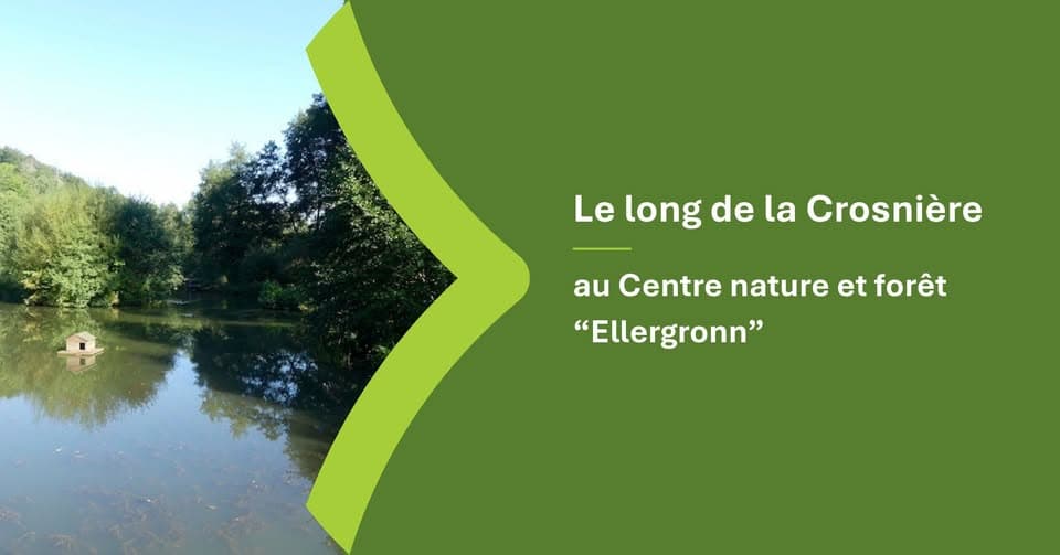 Le long de la Crosnière