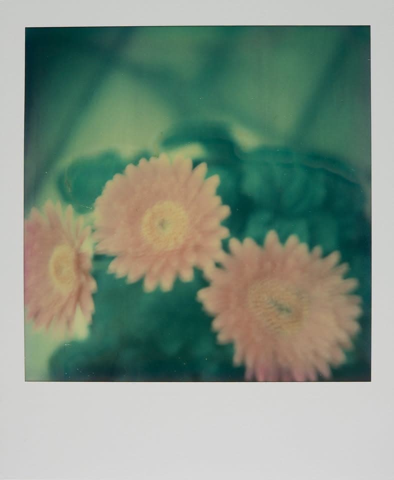 Youth Corner Photo | Ages 6–12 | Capturing the Moment with a Polaroid