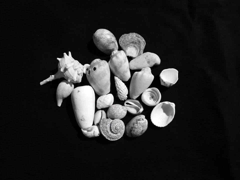 Youth Corner Photo | Ages 6–12 | These Objects That Tell Our Stories