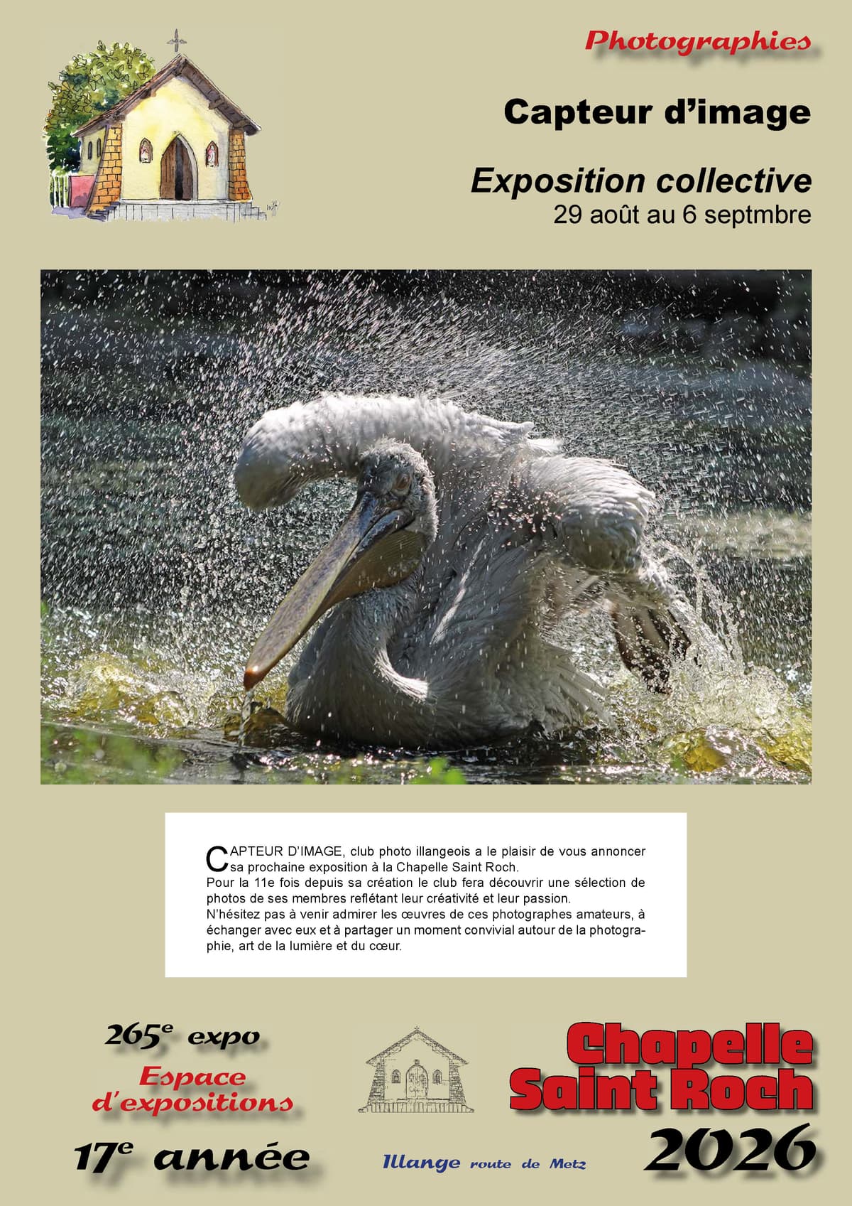 Capteur d'image exhibition