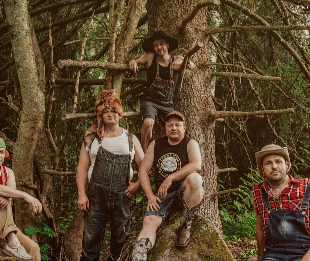 Steve'n'Seagulls