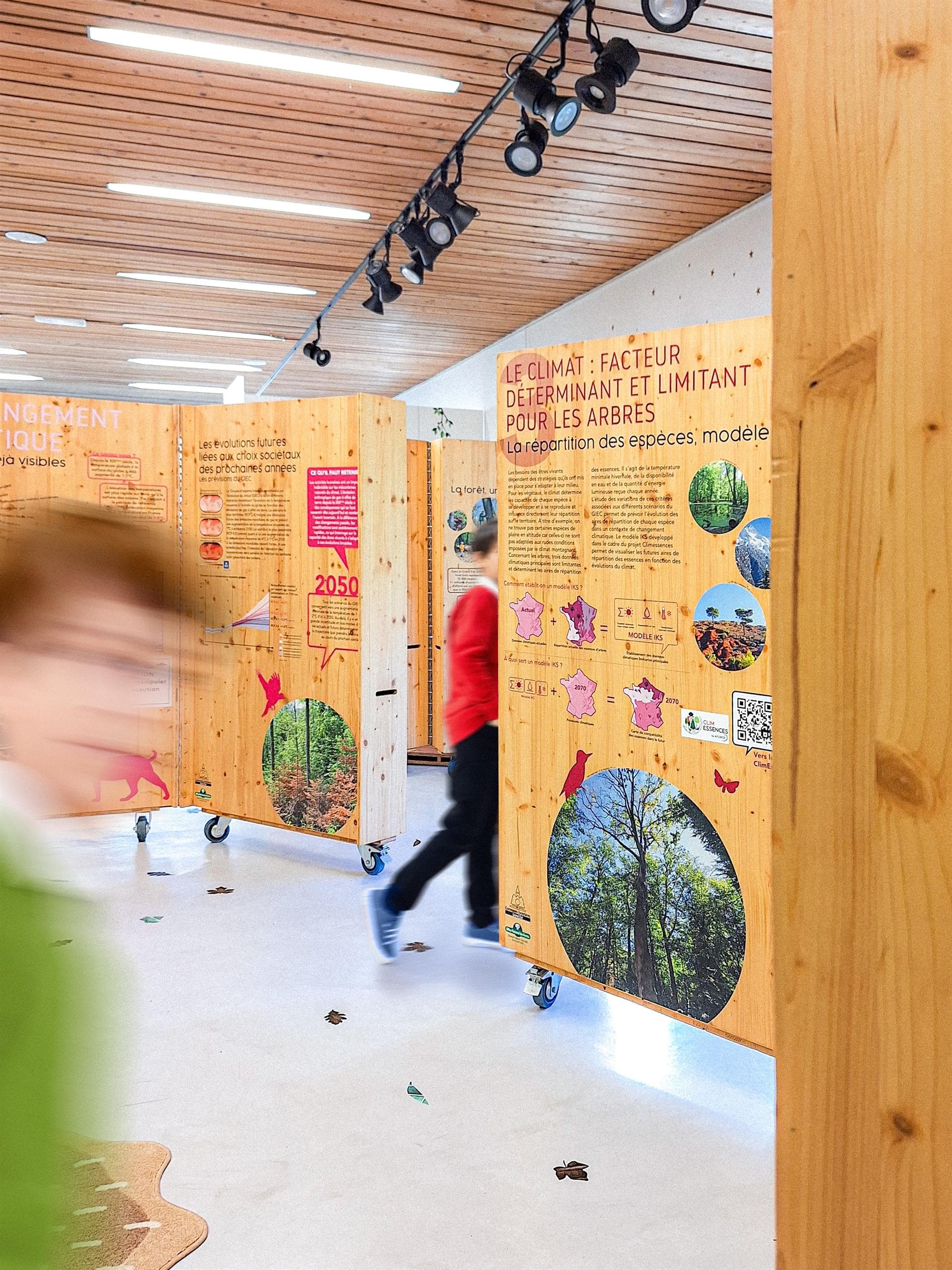 Exposition - Les forêts du Grand Est à l'épreuve du changement climatique