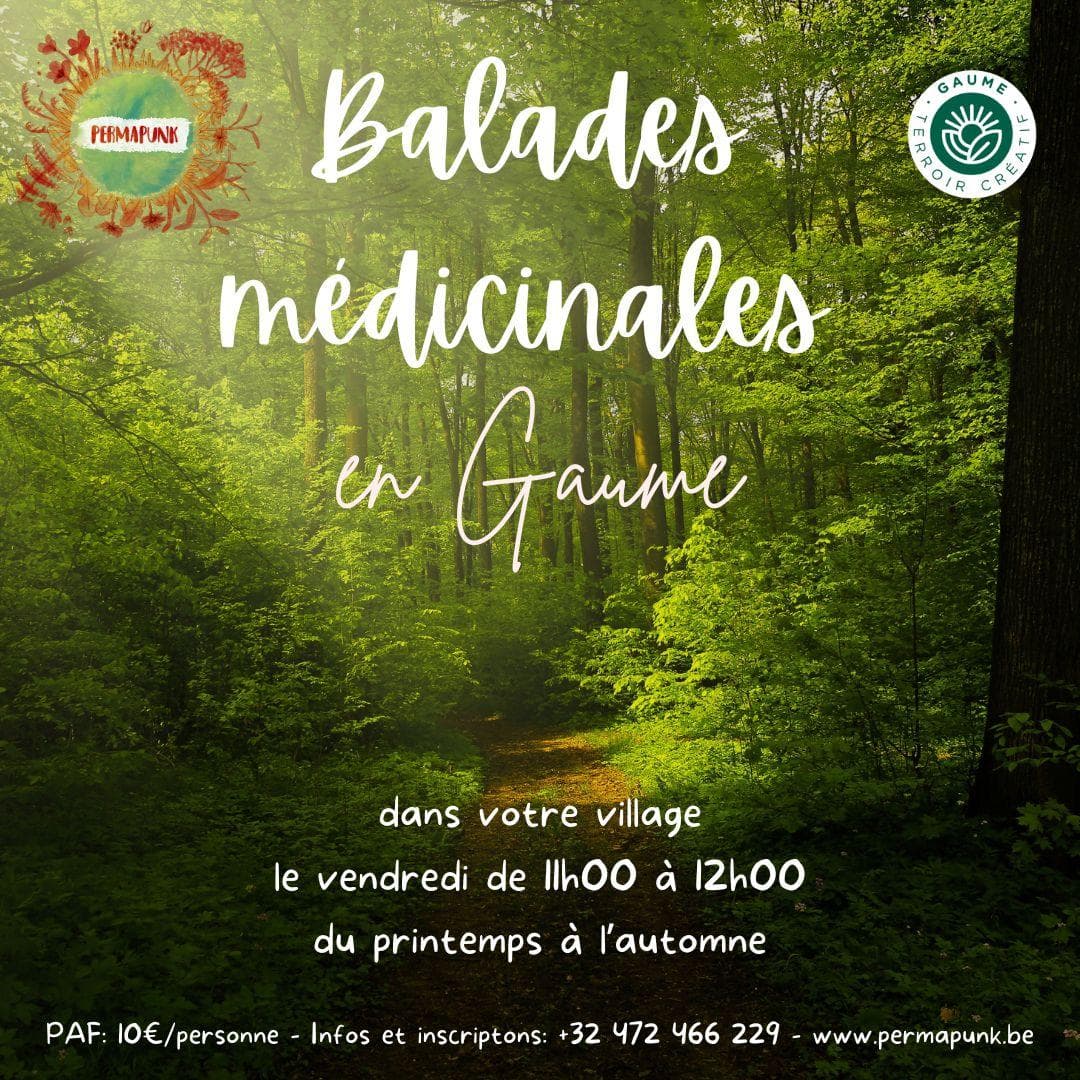 Medicinal walk in Gaume