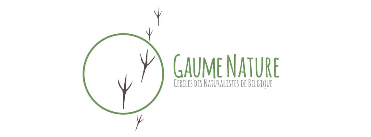 Jeu de piste nature
